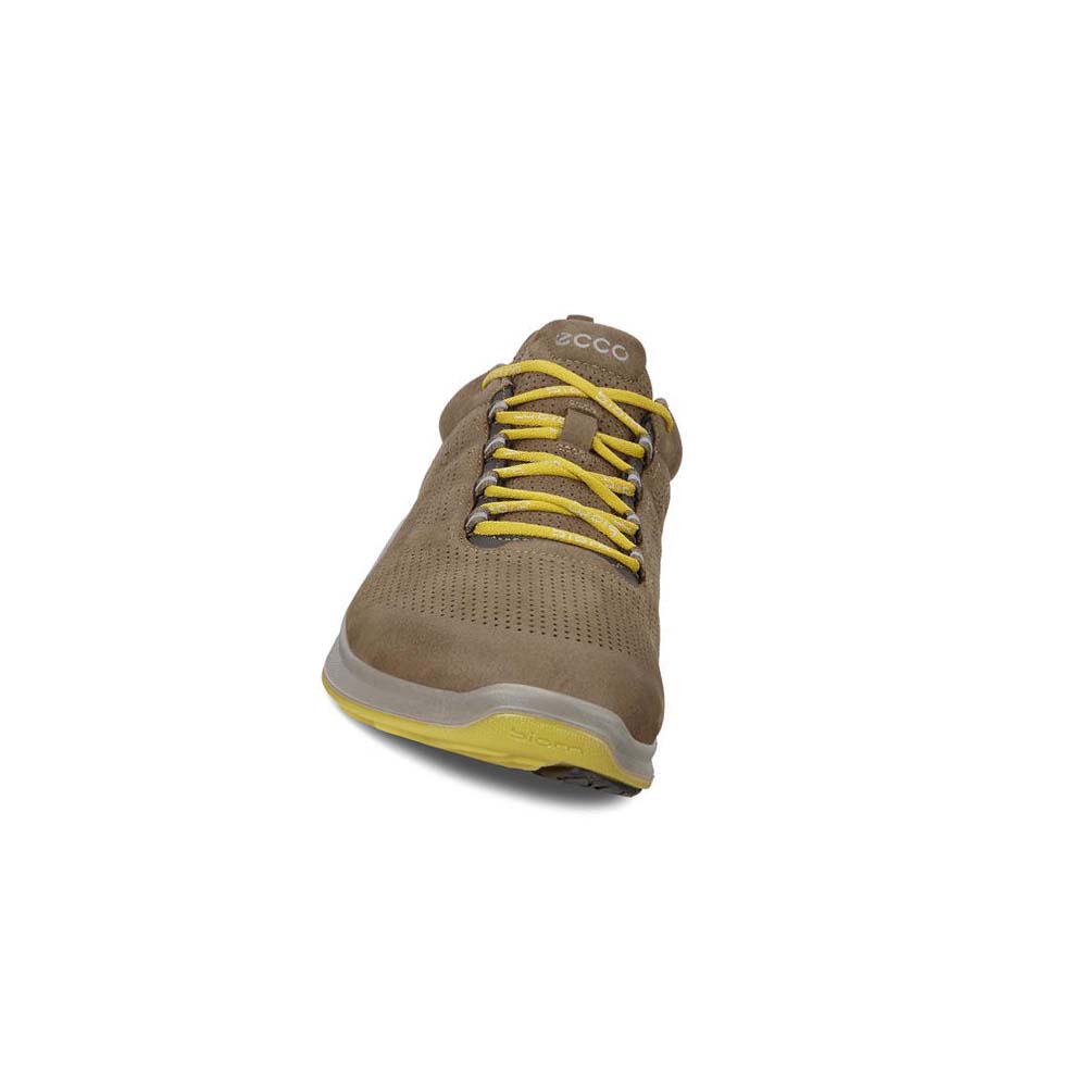 Ecco Mens Biom Fjuel Perf Hiking & Trail Herre Brune | NO 568JPQ